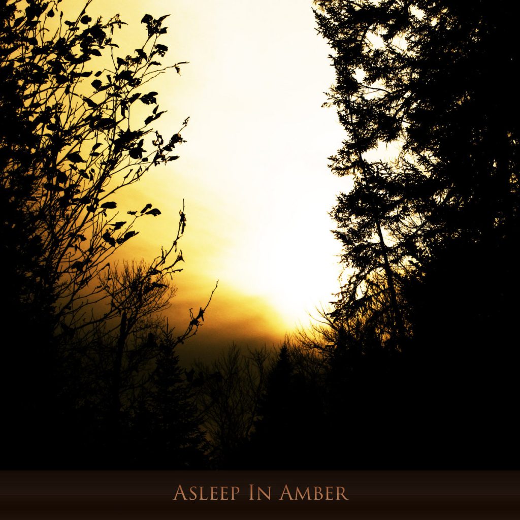 [album cover art] Hilyard - Asleep in Amber
