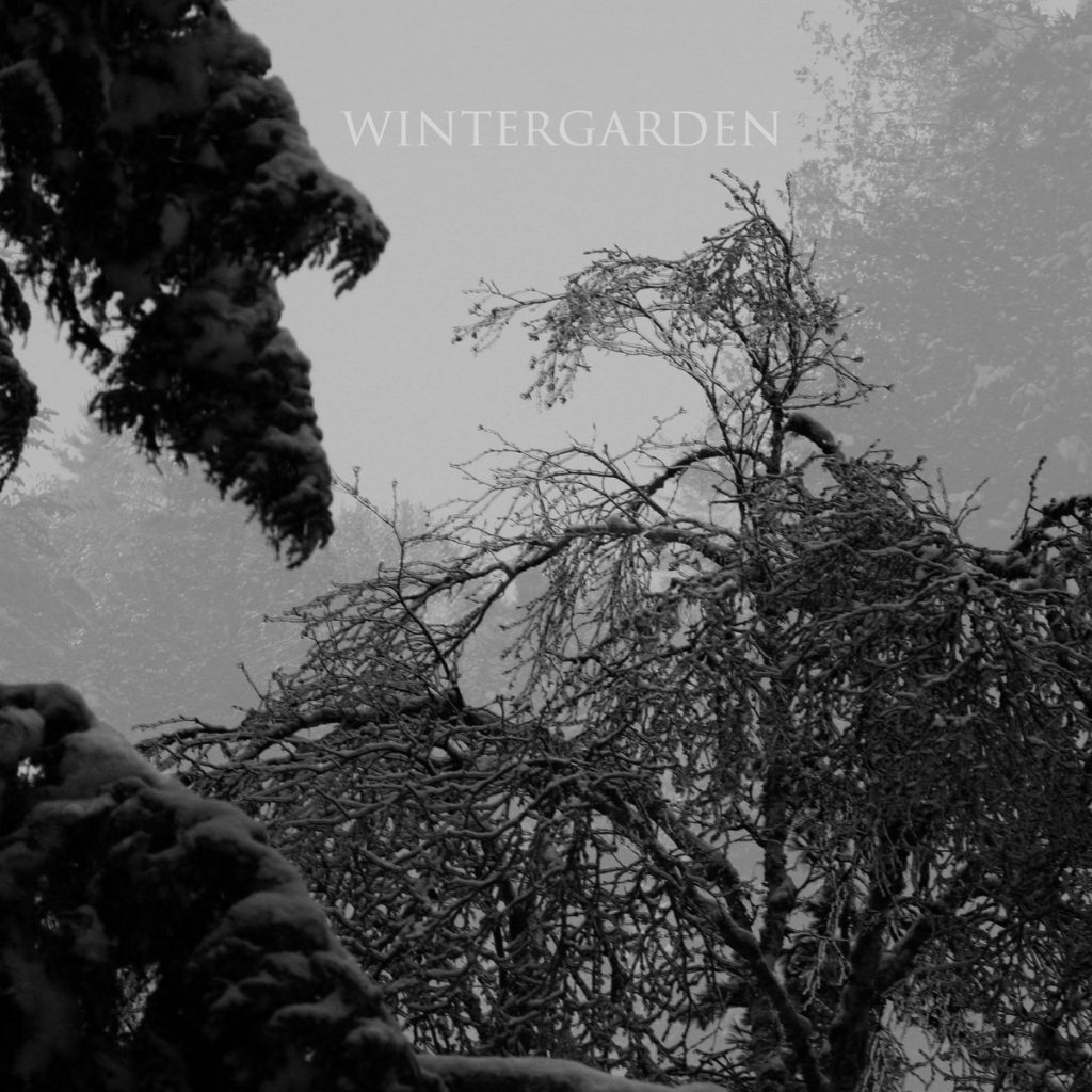 [album cover art] Hilyard - Wintergarden