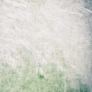 [album cover art] Jeannine Schulz – Ground . The Gentle