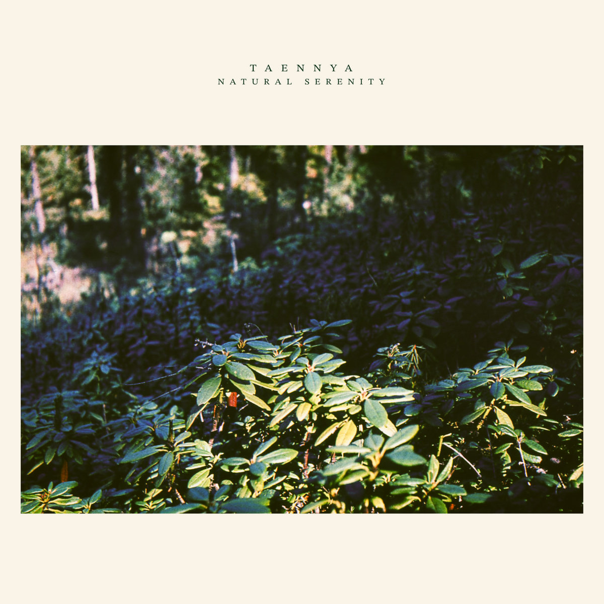 [album cover art] taennya – natural serenity