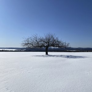 G. Strizzolo – Niflheim