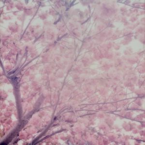 [album art] present tense
