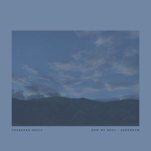 [album art] how we heal : addendum