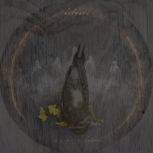 [album art] a wake in shadows