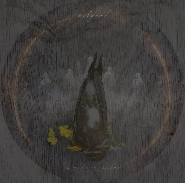 [album art] a wake in shadows