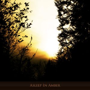 [album art] Asleep in Amber
