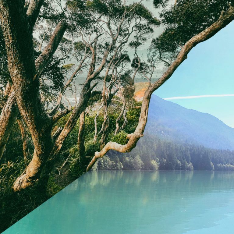 [album art] Northwest & Southeast