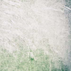 [album art] Ground . The Gentle