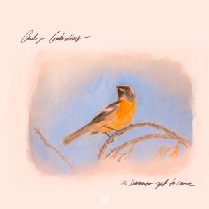 [album art] a summer yet to come