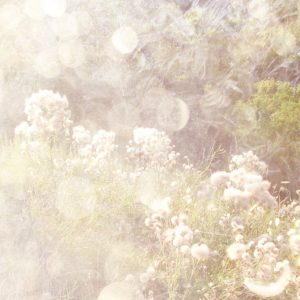 [album art] Moments in Golden Light