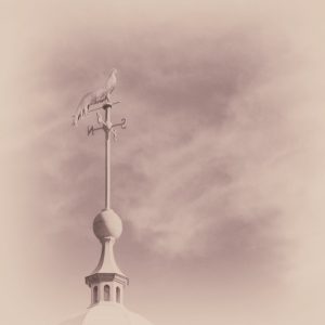 [album art] Weathervane