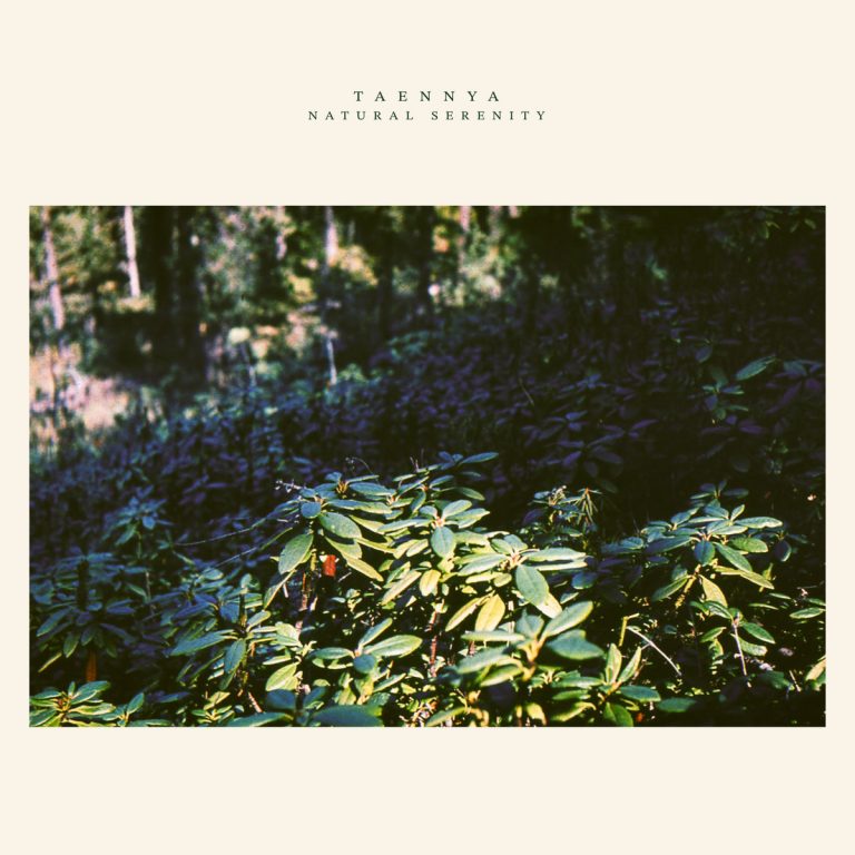 [album art] natural serenity